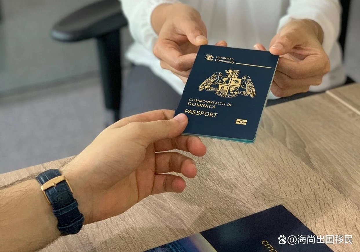 多米尼克护照免签实测：2026全球出行体验与143国免签攻略 | 邦拓国际 - 多米尼克护照,多米尼克免签,多米尼克投资入籍,加勒比护照,英联邦护照,多米尼克移民,护照免签国家,申根免签,多米尼克护照出行,海外身份规划,全球出行,投资入籍项目,多米尼克捐款移民,多米尼克购房移民 | 邦拓国际